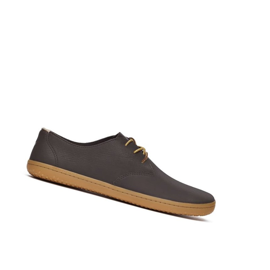 Chaussures Habillées Vivobarefoot Ra II Marron Homme | ZHJ-03019583