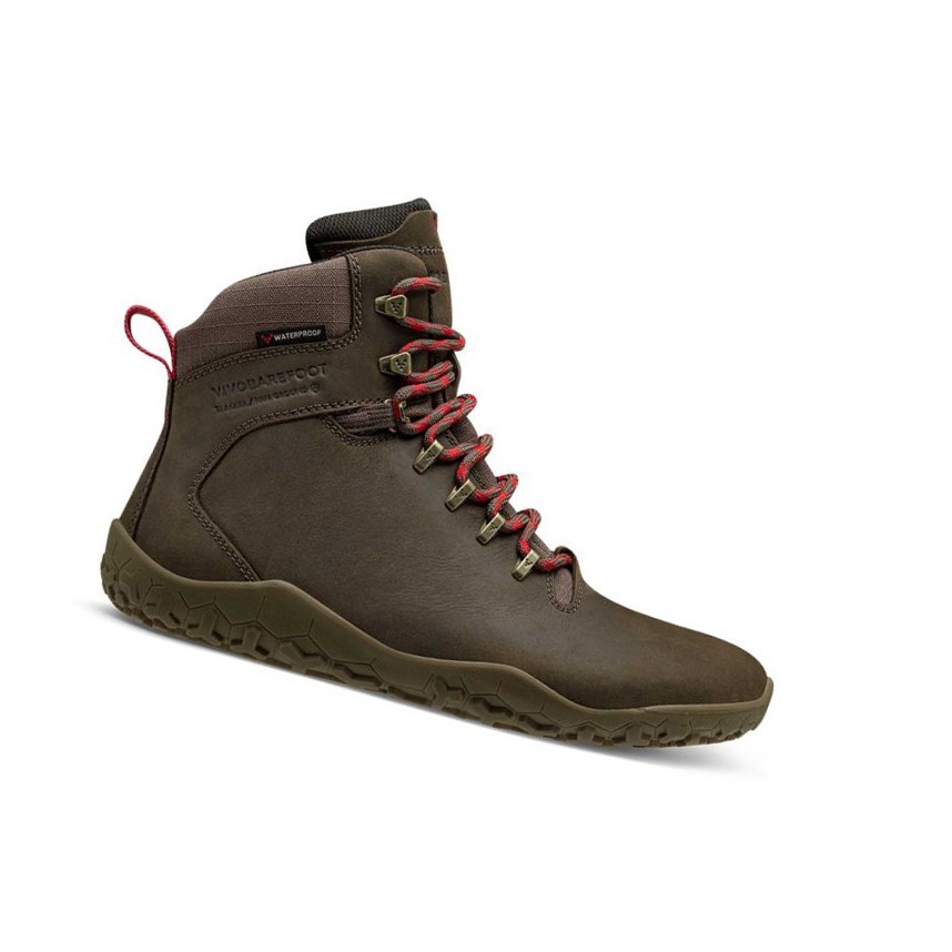 Bottes Randonnée Vivobarefoot Tracker II Firm Ground Marron Homme | CBP-58716447