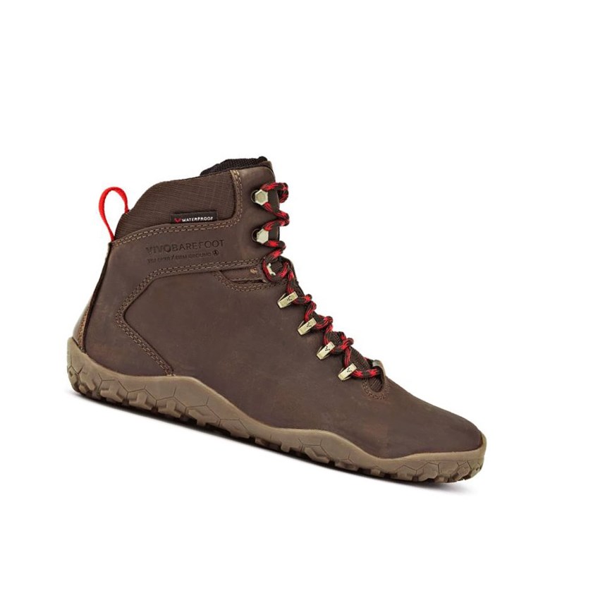 Bottes Randonnée Vivobarefoot Tracker Firm Ground Marron Foncé Homme | ORO-89619209