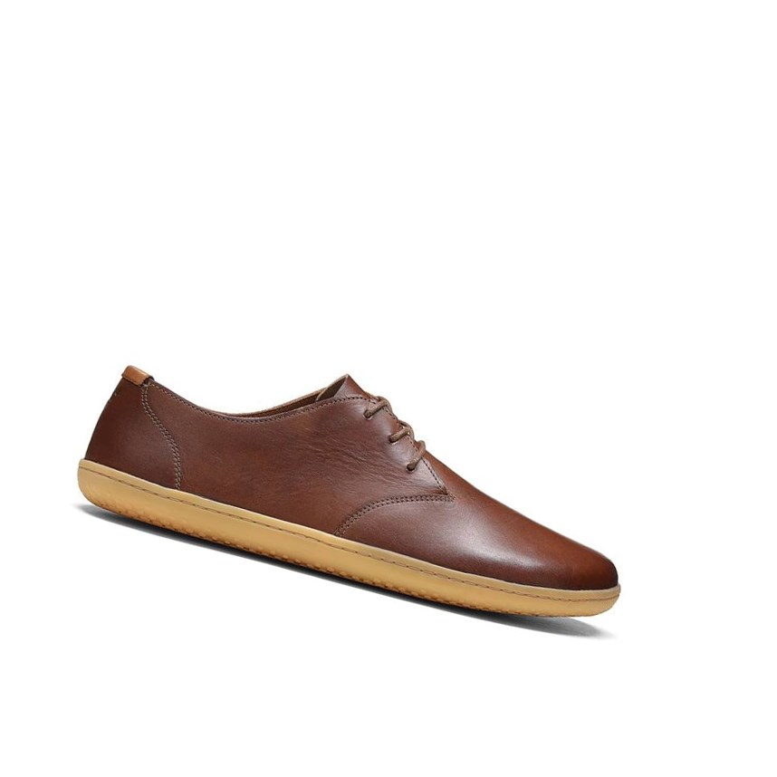 Chaussures Habillées Vivobarefoot Ra Lux Marron Homme | IRJ-24321533