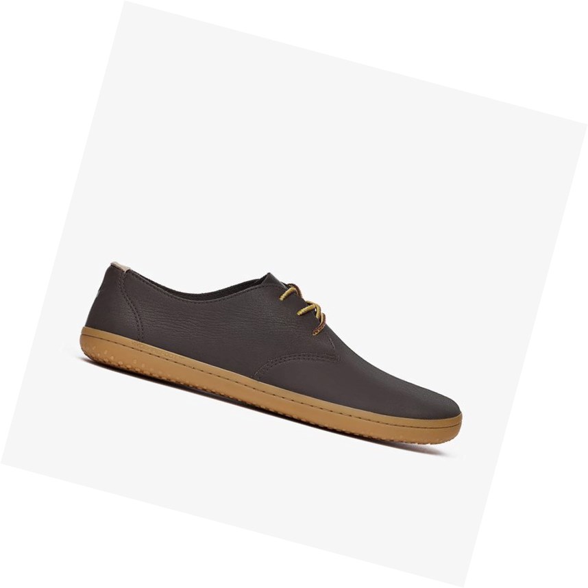 Chaussures Habillées Vivobarefoot Ra II Marron Foncé Homme | TXX-57985991