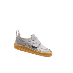 Chaussures Running Vivobarefoot Primus Knit II Bambin Grise Enfant | UCA-53783037