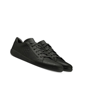 Baskets Vivobarefoot Geo Court II Noir Homme | ZBV-25402967