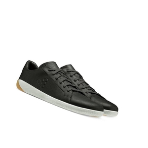 Baskets Vivobarefoot Geo Court II Noir Homme | WBY-30997913