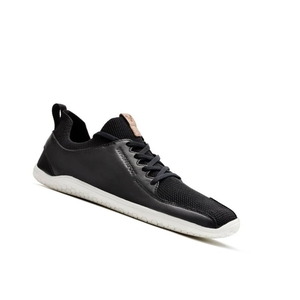 Baskets Vivobarefoot Primus Knit Noir Homme | CIU-88691482